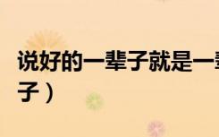 说好的一辈子就是一辈子差一年（说好的一辈子）