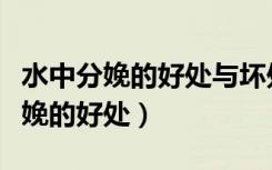 水中分娩的好处与坏处水中分娩视频（水中分娩的好处）