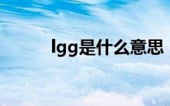 lgg是什么意思（lg是什么意思）