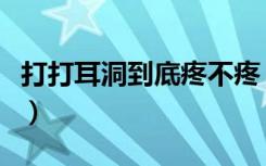 打打耳洞到底疼不疼（打耳洞疼还是打吊瓶疼）