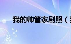 我的帅管家剧照（我的帅管家中文版）