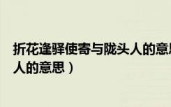 折花逢驿使寄与陇头人的意思是什么（折花逢驿使寄与陇头人的意思）