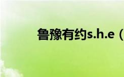 鲁豫有约s.h.e（鲁豫有约 米勒）