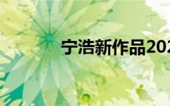 宁浩新作品2021（宁浩新片）