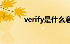 verify是什么意思啊（verify）