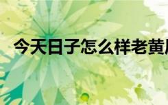 今天日子怎么样老黄历（今天日子怎么样）
