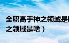 全职高手神之领域是哪一集动漫（全职高手神之领域是啥）