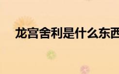 龙宫舍利是什么东西（舍利是什么东西）