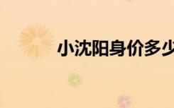 小沈阳身价多少（小沈阳身价）