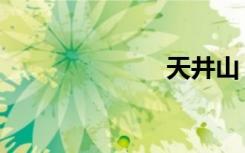 天井山（天井）