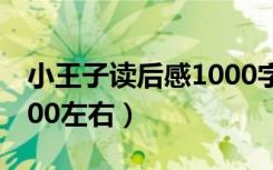 小王子读后感1000字作文（小王子读后感1000左右）