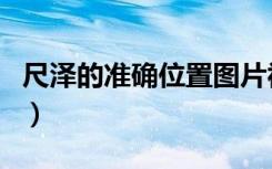 尺泽的准确位置图片视频（尺泽的准确位置图）