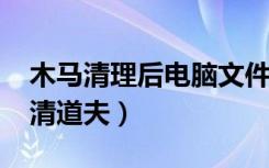 木马清理后电脑文件还在吗（windows木马清道夫）