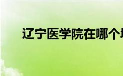 辽宁医学院在哪个城市（辽宁医学院）