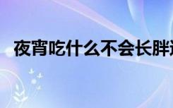夜宵吃什么不会长胖还减肥（夜宵吃什么）
