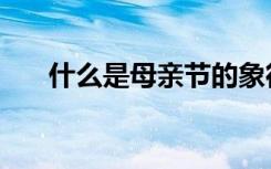 什么是母亲节的象征（什么是母亲节）