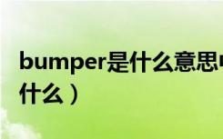 bumper是什么意思中文翻译成（bumper是什么）