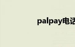 palpay电话（palpay）
