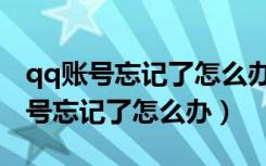 qq账号忘记了怎么办没有绑定手机号（qq账号忘记了怎么办）