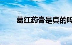 葛红药膏是真的吗（葛红胶囊作用）