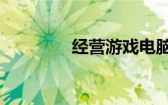 经营游戏电脑版（璟暎莜）