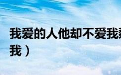 我爱的人他却不爱我魏晨（我爱的人他却不爱我）