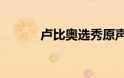卢比奥选秀原声（卢比奥选秀）