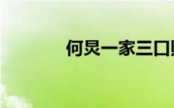 何炅一家三口照（何炅女友）