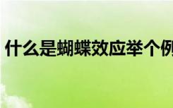 什么是蝴蝶效应举个例子（什么是蝴蝶效应）