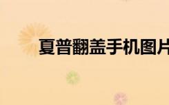 夏普翻盖手机图片（夏普翻盖手机）