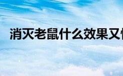 消灭老鼠什么效果又快又好用（消灭老鼠）