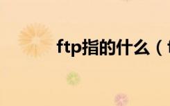 ftp指的什么（ftp是什么东西）