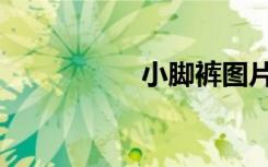 小脚裤图片（小脚裤）
