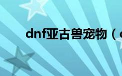dnf亚古兽宠物（dnf宠物亚米属性）