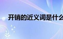 开销的近义词是什么词（开销的近义词）