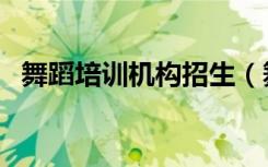 舞蹈培训机构招生（舞蹈培训班招生简章）