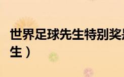 世界足球先生特别奖是什么意思（世界足球先生）