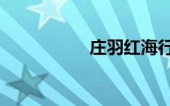 庄羽红海行动（庄羽）