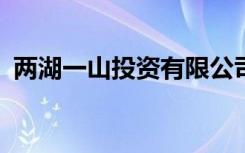 两湖一山投资有限公司怎么样?（两湖一山）
