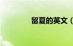 留夏的英文（留夏英文版）