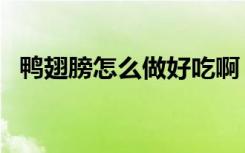 鸭翅膀怎么做好吃啊（鸭翅膀怎么做好吃）