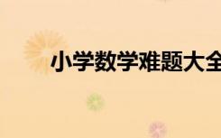 小学数学难题大全（小学数学难题）