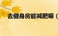 去健身房能减肥嘛（去健身房能减肥吗）