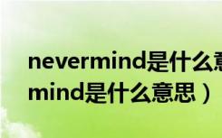 nevermind是什么意思中文翻译成（nevermind是什么意思）