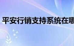 平安行销支持系统在哪（平安行销支持系统）