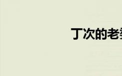 丁次的老婆（丁次）