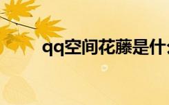qq空间花藤是什么（qq空间花藤）