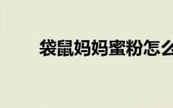 袋鼠妈妈蜜粉怎么用（蜜粉怎么用）