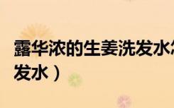 露华浓的生姜洗发水怎么样（露华浓的生姜洗发水）