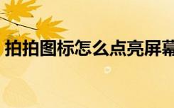 拍拍图标怎么点亮屏幕（拍拍图标怎么点亮）